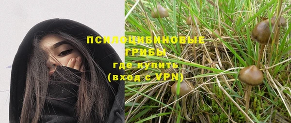 спайс Белокуриха