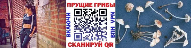 даркнет сайт  даркнет состав  Псилоцибиновые грибы ЛСД  Вышний Волочёк  kraken маркетплейс 